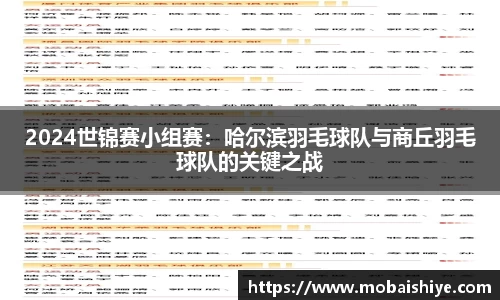 2024世锦赛小组赛：哈尔滨羽毛球队与商丘羽毛球队的关键之战